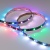 Лента SPI-5000-5060-30 12V Cx3 RGB-Auto (Black 10mm, 6.5W/m, IP20) (Arlight, Открытый, IP20) ARLIGHT Арт. 024599(1) Лента SPI-5000-5060-30 12V Cx3 RGB-Auto (Black 10mm, 6.5W/m, IP20) (Arlight, Открытый, IP20) ARLIGHT Арт. 024599(1)