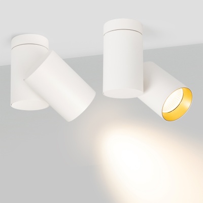 Светильник SP-POLO-SURFACE-TURN-R85-15W Warm3000 (WH-GD, 40 deg) (Arlight, IP20 Металл, 3 года)