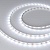 Светодиодная лента RT-A60-8mm 12V White6000 (2 W/m, IP20, 2835, 50m) (Arlight, -)