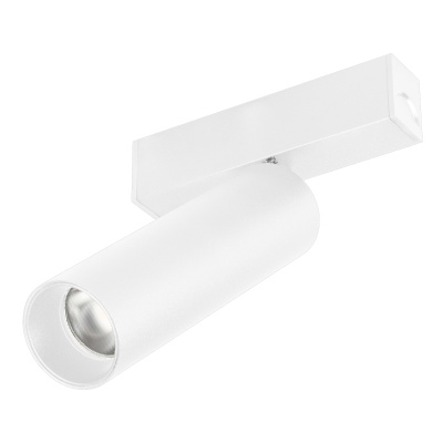Светильник MAG-SPOT-25-R120-12W Day4000 (WH, 30 deg, 24V) (Arlight, IP20 Металл, 5 лет)