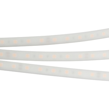 Лента RTW 2-5000PW 24V Day4000 2x (5060, 300 LED, LUX) (Arlight, 14.4 Вт/м, IP66)