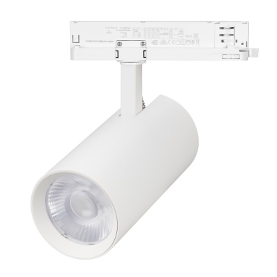 Светильник LGD-GERA-4TR-R90-40W Day4000 (WH, 24 deg, 230V) (Arlight, IP20 Металл, 5 лет)