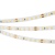 Светодиодная лента RT 2-5000 24V Day5000 2x (2835, 600 LED, CRI98) (Arlight, 14.4 Вт/м, IP20) Светодиодная лента RT 2-5000 24V Day5000 2x (2835, 600 LED, CRI98) (Arlight, 14.4 Вт/м, IP20)