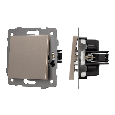 Механизм выключателя одноклавишный самовозвратный SWT-MKR1-PL-GD-V (250V, 10A) (Arlight, -)