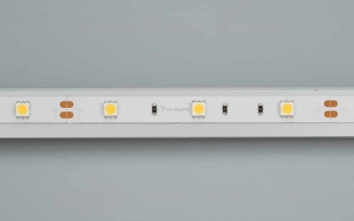 Светодиодная лента CC-5000 3A White (5060, 150 LED, EXP) (Arlight, 12 Вт/м, IP20)