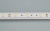 Светодиодная лента CC-5000 3A White (5060, 150 LED, EXP) (Arlight, 12 Вт/м, IP20) Светодиодная лента CC-5000 3A White (5060, 150 LED, EXP) (Arlight, 12 Вт/м, IP20)