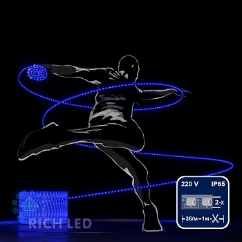 Светодиодный дюралайт Rich LED, 2-х проводной, синий, кратность резки 1 метр,  диаметр 13 мм, 220 В, 100 м.