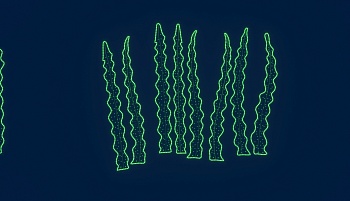 Светодиодная консоль Rich LED на металлокаркасе, водоросли ламинария, 220 В,