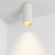 Светильник SP-POLO-SURFACE-R65-8W Day4000 (WH-GD, 40 deg) (Arlight, IP20 Металл, 5 лет) Светильник SP-POLO-SURFACE-R65-8W Day4000 (WH-GD, 40 deg) (Arlight, IP20 Металл, 5 лет)