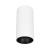 Светильник SP-SALT-R75-15W Day4000 (WH-BK, 40 deg, 230V) (Arlight, IP54 Металл, 5 лет) Светильник SP-SALT-R75-15W Day4000 (WH-BK, 40 deg, 230V) (Arlight, IP54 Металл, 5 лет)