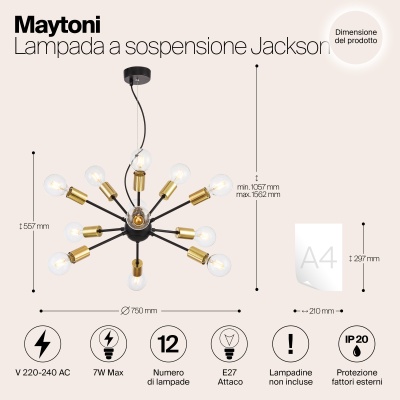 Подвесной светильник Maytoni T546PL-12B