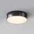 Потолочный светильник Outdoor O431CL-L30B3K Потолочный светильник Outdoor O431CL-L30B3K