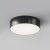 Потолочный светильник Outdoor O431CL-L30B4K Потолочный светильник Outdoor O431CL-L30B4K