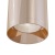 Потолочный светильник Maytoni Focus C010CL-01RG