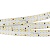 Светодиодная лента S2-2500 24V Day 4000K 15mm (2835, 280 LED/m, LUX) (Arlight, 20 Вт/м, IP20)