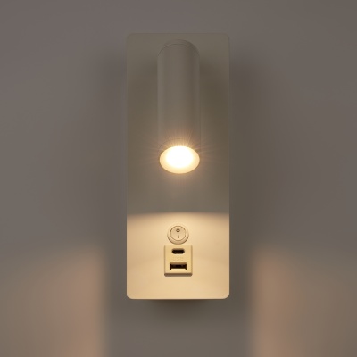 Настенный светильник (бра) Freya FR5341WL-L3W