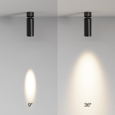 Потолочный светильник Technical C055CL-L12W3K-SS-B