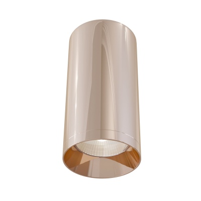 Потолочный светильник Maytoni Focus C010CL-01RG