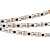 Светодиодная лента SPI-5000SE-AM 12V RGB (5060, 150 LED x1, 1903, Arlight, Закрытый, IP65)