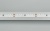 Светодиодная лента RS 2-5000 24V Warm3000 2x (3014, 120 LED/m, LUX) (Arlight, 9.6 Вт/м, IP20) ARLIGHT Арт. 024460 Светодиодная лента RS 2-5000 24V Warm3000 2x (3014, 120 LED/m, LUX) (Arlight, 9.6 Вт/м, IP20) ARLIGHT Арт. 024460