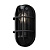 Настенный светильник (бра) Outdoor O449WL-01GF1