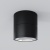 Потолочный светильник Outdoor O310CL-L12GF3K Потолочный светильник Outdoor O310CL-L12GF3K