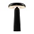 Аккумуляторный светильник Freya FR6109TL-L4B