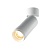 Потолочный светильник Technical C055CL-L12W2.7K-Z-W