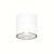 Потолочный светильник Outdoor O310CL-L12W3K Потолочный светильник Outdoor O310CL-L12W3K