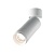 Потолочный светильник Technical C055CL-L12W4K-Z-W