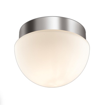 Накладной светильник Odeon Light Minkar 2443/1A