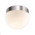 Накладной светильник Odeon Light Minkar 2443/1A