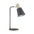 Настольная лампа офисная Lumion Marcus 3638/1T