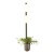 Бра Odeon Light Flower 4681/2WA