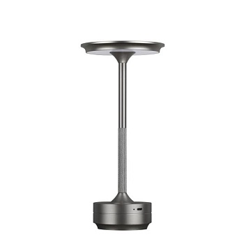 Настольная лампа декоративная Odeon Light Tet-A-Tet 5035/6TL