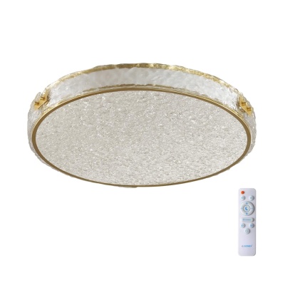 Накладной светильник Sonex Felice 7722/65L