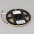 Лента COB-X480-6mm 24V Warm3500 (6 W/m, IP20, CSP, 5m) (Arlight, -) ARLIGHT Арт. 044576 Лента COB-X480-6mm 24V Warm3500 (6 W/m, IP20, CSP, 5m) (Arlight, -) ARLIGHT Арт. 044576