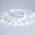 Светодиодная лента RT 2-5000 24V Cool 8K 0.5x (3528, 150 LED, LUX) (Arlight, 2.9 Вт/м, IP20) Светодиодная лента RT 2-5000 24V Cool 8K 0.5x (3528, 150 LED, LUX) (Arlight, 2.9 Вт/м, IP20)