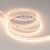 Лента UL-A160-8mm 24V Warm2700 (12 W/m, IP20, 2835, 5m) (Arlight, 7 лет) ARLIGHT Арт. 040012 Лента UL-A160-8mm 24V Warm2700 (12 W/m, IP20, 2835, 5m) (Arlight, 7 лет) ARLIGHT Арт. 040012