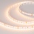 Лента MICROLED-M120-8mm 24V Warm2700 (14 W/m, IP20, 2216, 5m) (Arlight, Открытый) ARLIGHT Арт. 024432(2) Лента MICROLED-M120-8mm 24V Warm2700 (14 W/m, IP20, 2216, 5m) (Arlight, Открытый) ARLIGHT Арт. 024432(2)