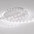 Лента RT 2-5000 24V White6000 2x (5060, 300 LED, LUX) (Arlight, 14.4 Вт/м, IP20) Лента RT 2-5000 24V White6000 2x (5060, 300 LED, LUX) (Arlight, 14.4 Вт/м, IP20)