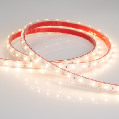 Лента герметичная RTW-PS-A60-10mm 12V Warm2700 (4.8 W/m, IP67, 2835, 5m) (Arlight, 4.8 Вт/м, IP67) ARLIGHT Арт. 028506(2)