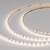 Светодиодная лента MICROLED-M120-3.5mm 12V Day5000 (8.3 W/m, IP20, 2216, 3m) (Arlight, узкая) Светодиодная лента MICROLED-M120-3.5mm 12V Day5000 (8.3 W/m, IP20, 2216, 3m) (Arlight, узкая)