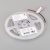 Светодиодная лента RT-A80-5mm 24V Day5000 (5 W/m, IP20, 2835, 5m) (Arlight, Открытый) Светодиодная лента RT-A80-5mm 24V Day5000 (5 W/m, IP20, 2835, 5m) (Arlight, Открытый)