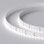 Лента RT-A196-15mm 24V White6000 (20 W/m, IP20, 2835, 5m) (Arlight, Открытый) ARLIGHT Арт. 019089(2)