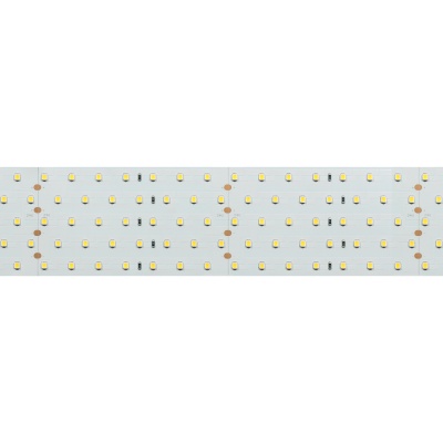 Светодиодная лента RT 2-2500 24V Day5000 5x2 (2835, 875 LED, CRI98) (Arlight, 36 Вт/м, IP20)