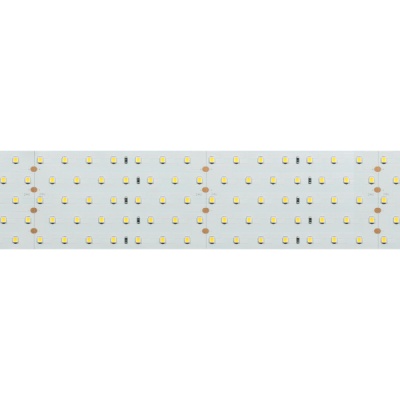Светодиодная лента RT 2-2500 24V Day4000 5x2 (2835, 875 LED, CRI98) (Arlight, 36 Вт/м, IP20)