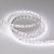 Лента RT-A168-10mm 24V Day-MIX SWITCH (21.3 W/m, IP20, 2835, 5m) (Arlight, изм.ЦТ вкл-выкл) ARLIGHT Арт. 036215 Лента RT-A168-10mm 24V Day-MIX SWITCH (21.3 W/m, IP20, 2835, 5m) (Arlight, изм.ЦТ вкл-выкл) ARLIGHT Арт. 036215