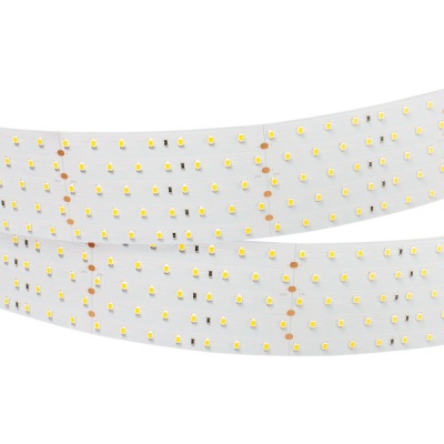 Лента RT 2-2500 24V Warm3000 5x2 (2835, 875 LED, LUX) (Arlight, 36 Вт/м, IP20)