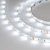 Лента RT-B60-10mm 24V RGBW-White (14.4 W/m, IP20, 5060, 5m) (Arlight, Открытый) ARLIGHT Арт. 018325(2) Лента RT-B60-10mm 24V RGBW-White (14.4 W/m, IP20, 5060, 5m) (Arlight, Открытый) ARLIGHT Арт. 018325(2)
